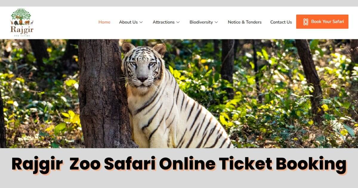 rajgir zoo safari booking