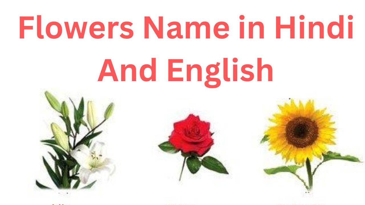 flowers-name-in-hindi-english-knowledge-dabba